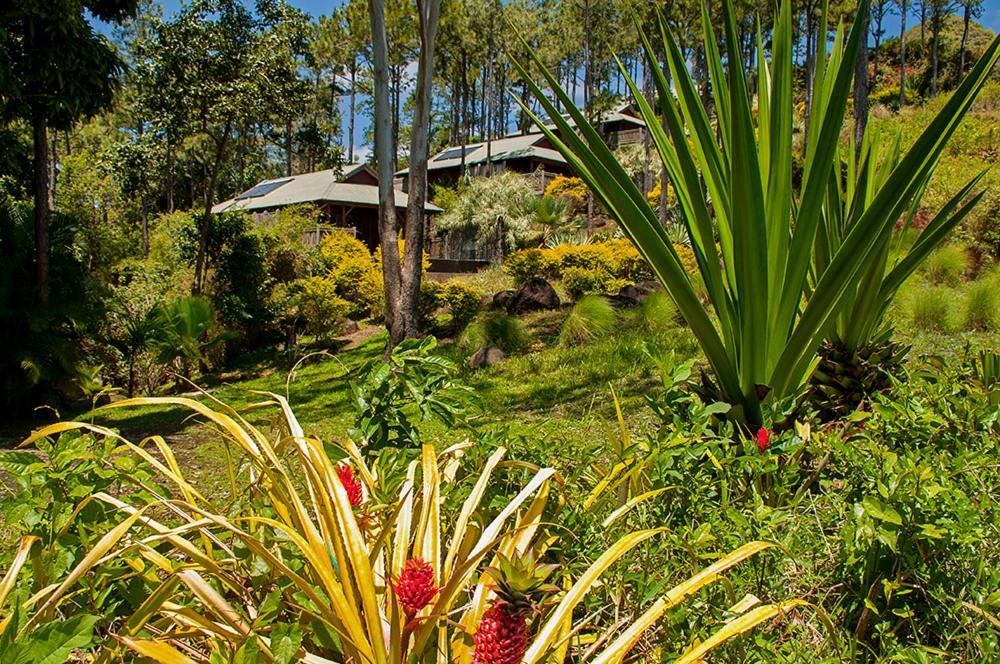 Lakaz Chamarel Exclusive Lodge Eksteriør billede